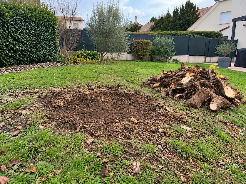 Terrain après rognage ou dessouchage